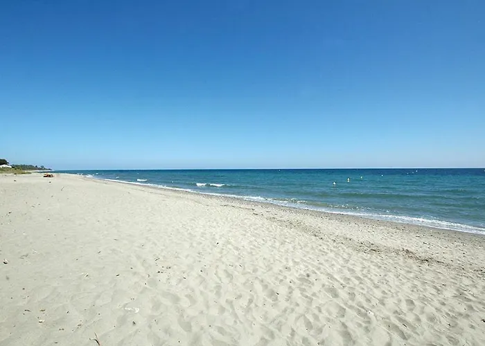 Appartamento T3 Résidence Privée Proche Et Piscine Poggio Mezzana