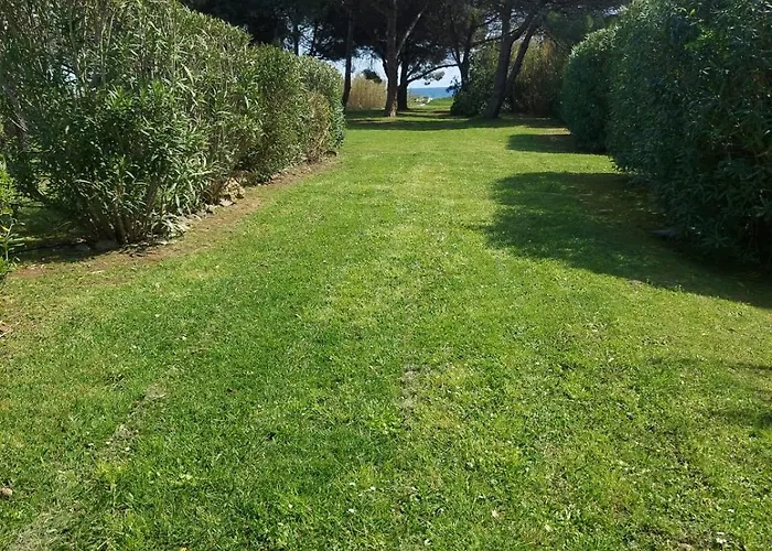 T3 Résidence Privée Proche Et Piscine Apartamento Poggio Mezzana